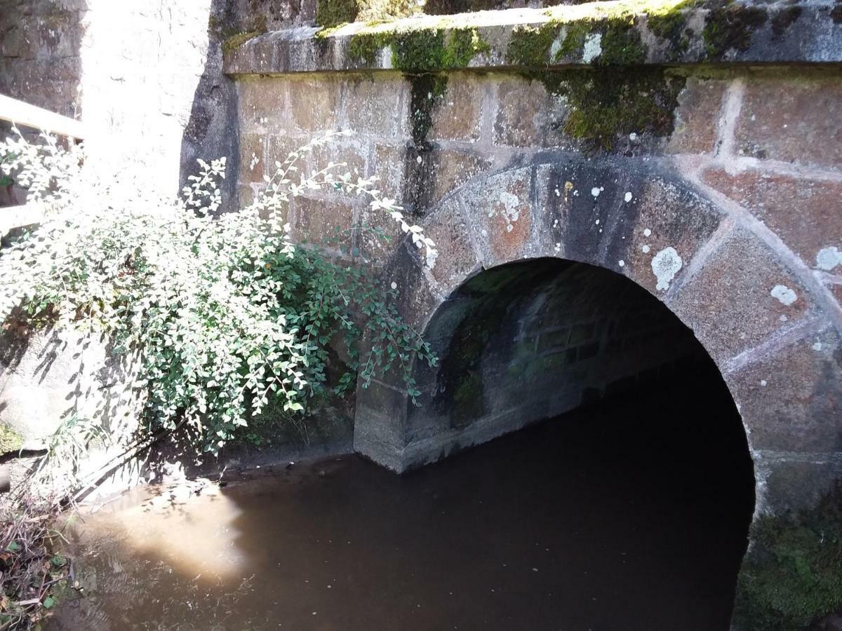 Lassay-les-Chateaux L'Orchideeヴィラ エクステリア 写真