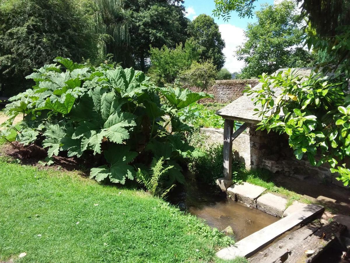 Lassay-les-Chateaux L'Orchideeヴィラ エクステリア 写真
